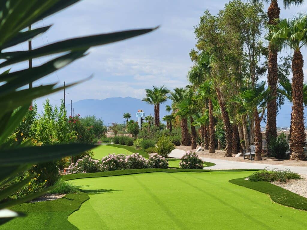 A landscaped golf course with artificial turf, palm trees, flowering bushes, and mountains in the background under a partly cloudy sky.