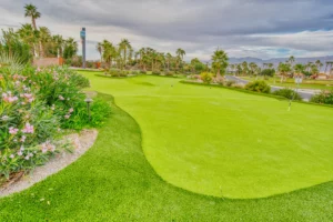 A well-manicured golf course with green grass, palm trees, flowering bushes, and mountains in the background under a cloudy sky.