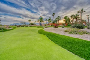 Well-maintained golf green with palm trees, shrubs, and a gravel landscape under a partly cloudy sky at sunset.
