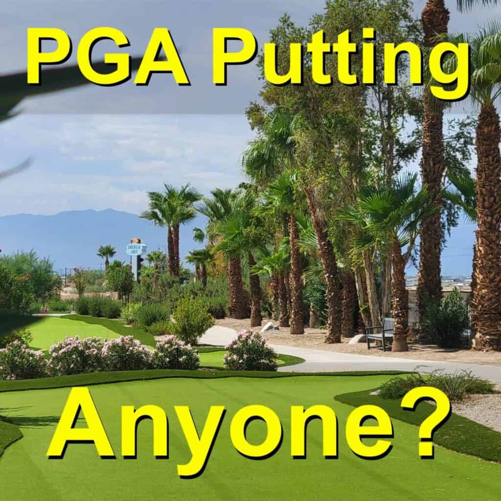 A putting green surrounded by palm trees, with the text “PGA Putting Anyone?” in bold yellow letters over the image.
