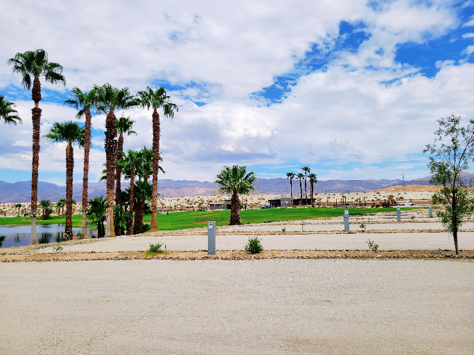 Open landscape with tall palm trees, a grassy area, and a small pond under a partly cloudy sky, with mountains visible in the background.