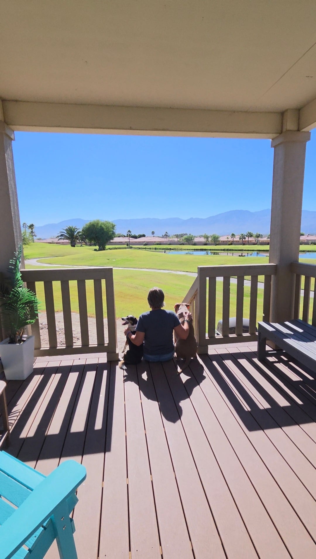 A person sits on a covered porch with two dogs, looking out at a sunny golf course with mountains in the distance.