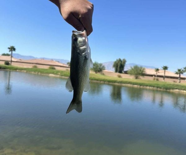 Fishing 4