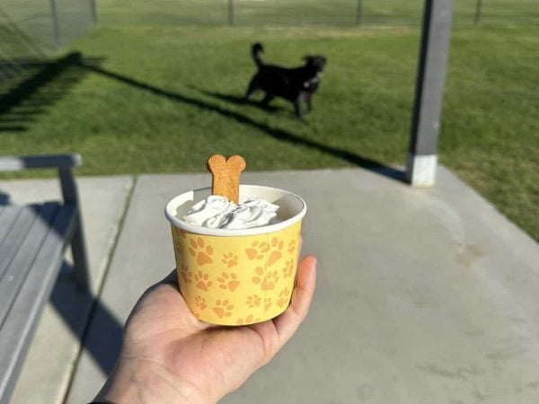 A hand holds a cup of dog-friendly ice cream topped with a bone-shaped biscuit, while a black dog stands on grass in the background.