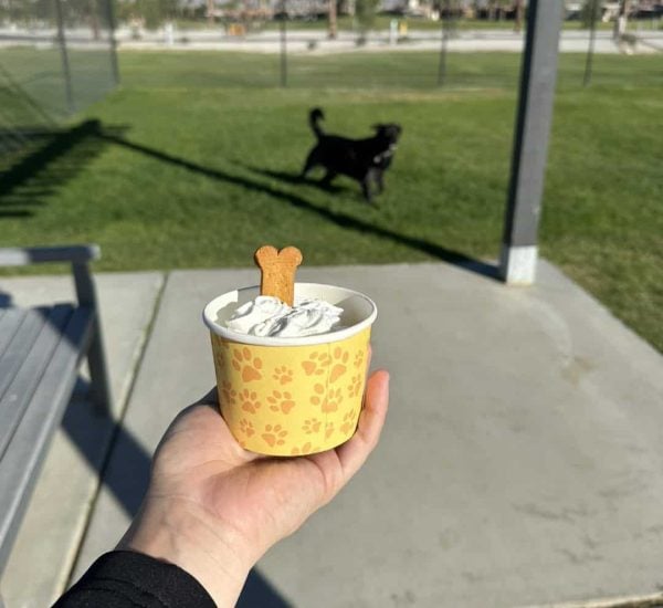 A hand holds a cup of dog-friendly ice cream topped with a bone-shaped biscuit, while a black dog stands on grass in the background.